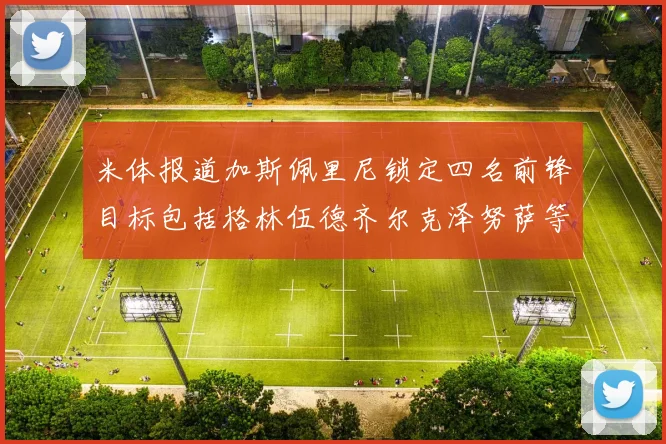 米体报道加斯佩里尼锁定四名前锋目标包括格林伍德齐尔克泽努萨等人